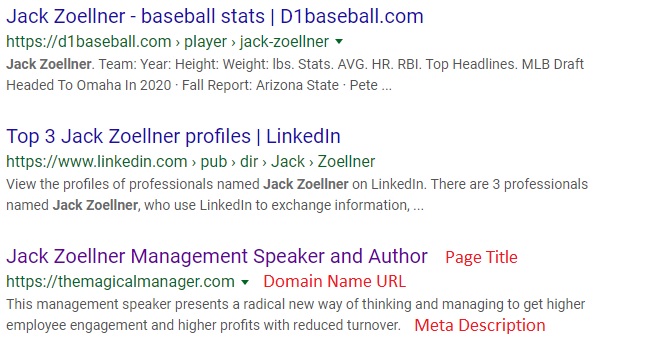 Display of speaker website Home Page Page Title, Domain Name URL and Meta Description in a Google search for SEO for professional speakers case study